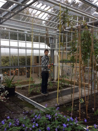 Leon geeft de planten water in de kas